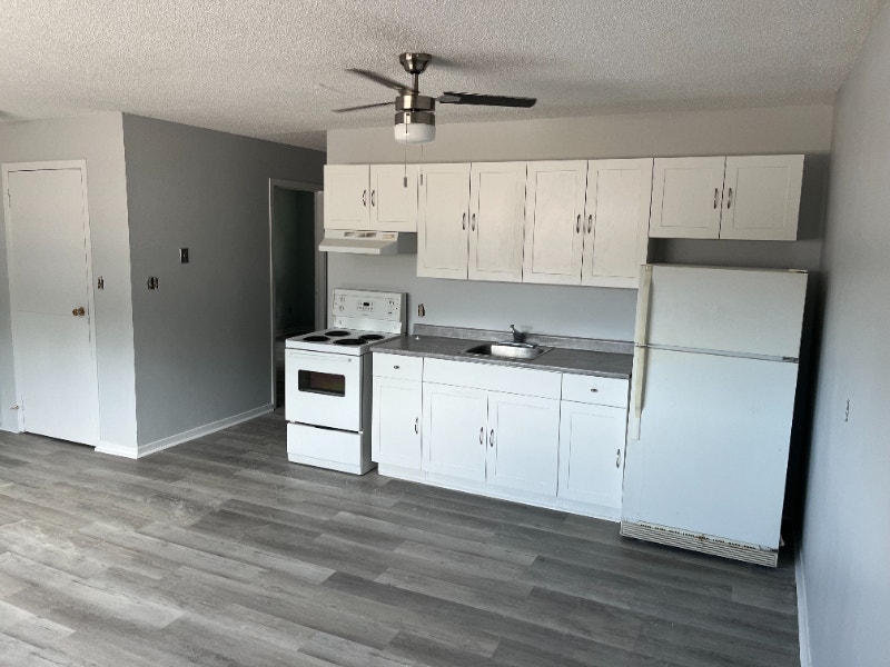 Newly renovated 1 Bedroom apartment, Petawawa Ont. Long Term Rentals