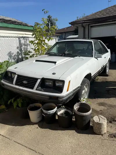 1983 Mustang hatch back. T-Top. No motor or Transmission. Needs total restoration. $2800 vin comes b...