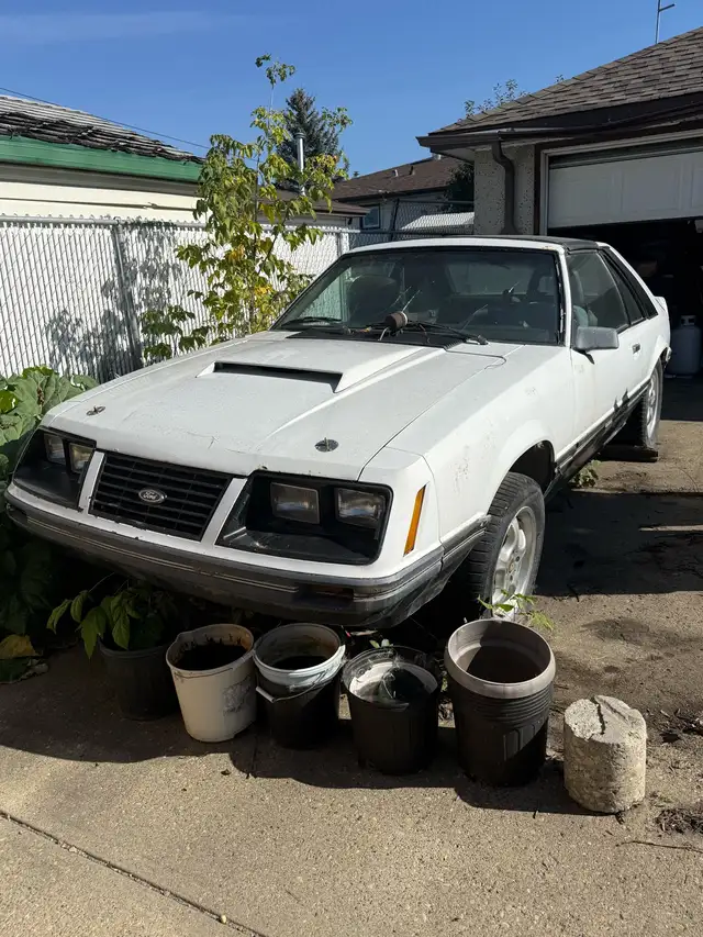 1983 MUSTANG | Classic Cars | Edmonton | Free local classifieds - Kijiji