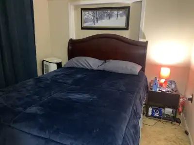 Furnished 1 Bedrm apt. for Single Jan 1/26, View more