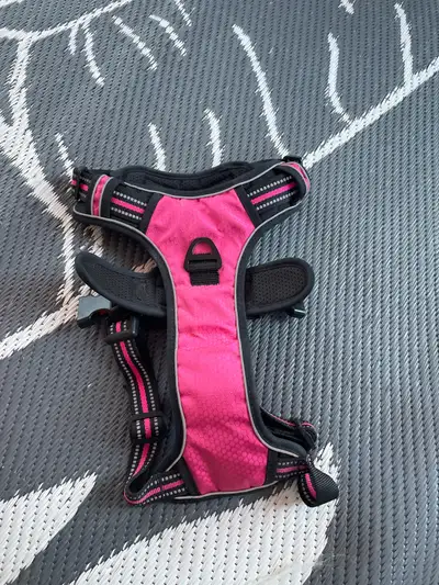 harnais pour chien , View more