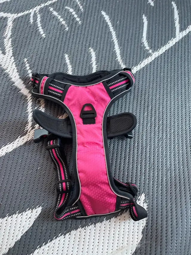 harnais pour chien  in Accessories in Lanaudière - Image 2