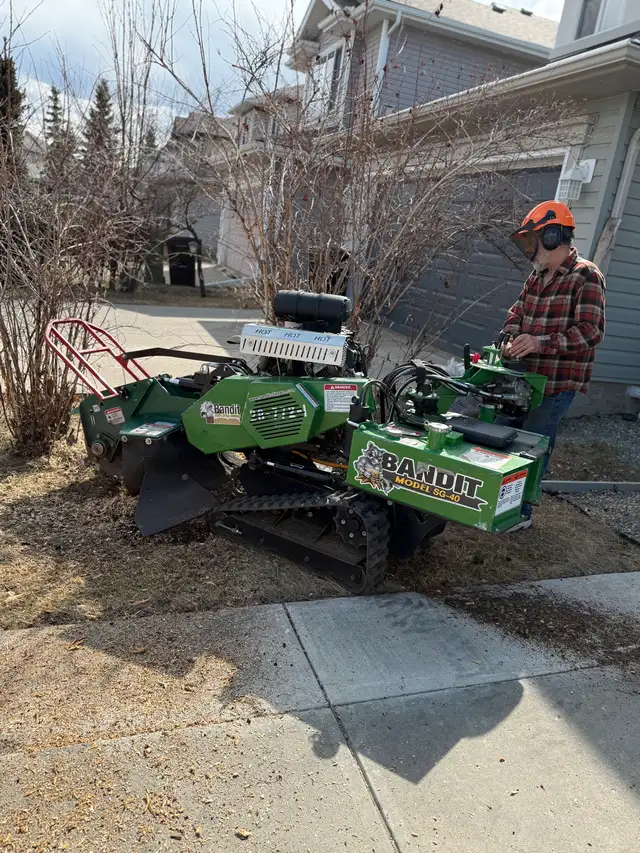 STUMP Grinding & TREE Removal – BOOK NOW - Best Price!62863711333761121