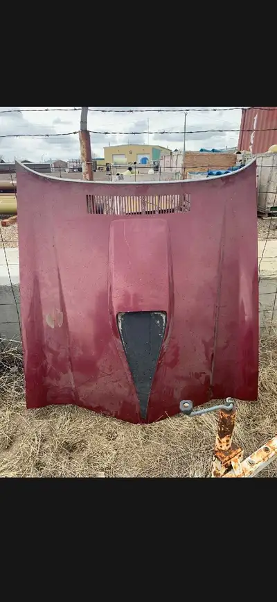 1970 to 1981 camero I rock hood. In really good shape pretty sharp looking. If you need a hood here...