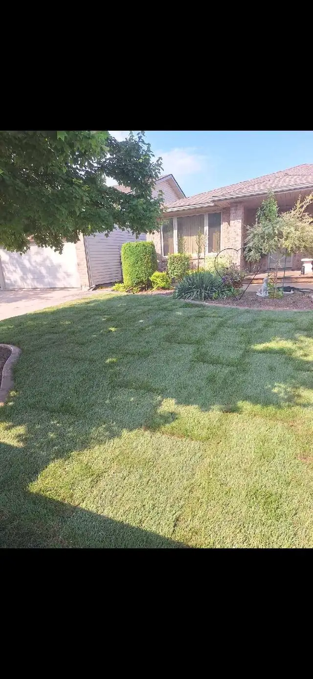 landscaping Sod lawn care trimming yard clean up loads to dump in Other in Windsor Region - Image 9