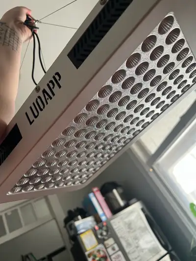 Vivosun Plant Grow Light 1100W, View more