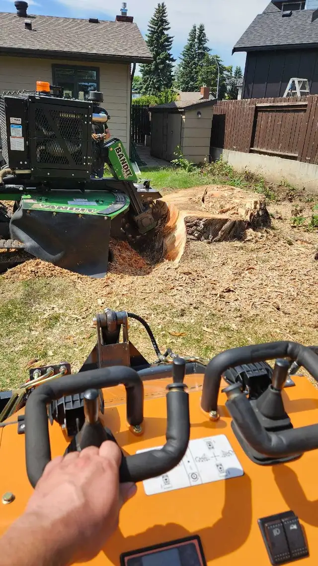 Quality Low Cost Stump Grinding in Lawn, Tree Maintenance & Eavestrough in Saskatoon - Image 6