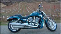 I would like to BUY a 2005 Harley Davidson CVO V ROD