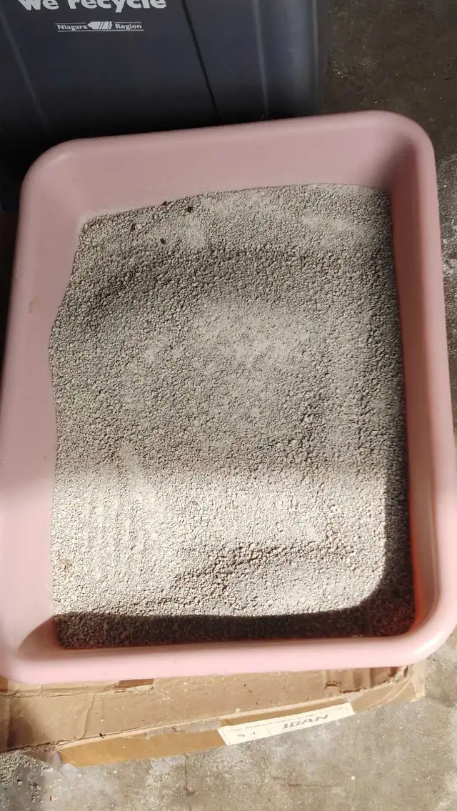 Cat Litter Box in Accessories in St. Catharines - Image 2