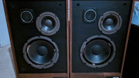 Janis 50 speaker boxes