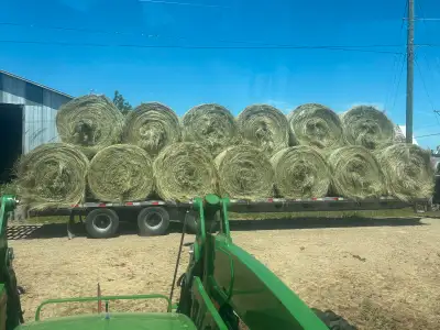 Dry Hay for sale, View more