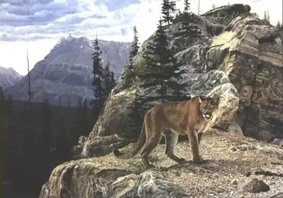 Brent Townsend unframed Ragged Rock & Lake Crossing, View more