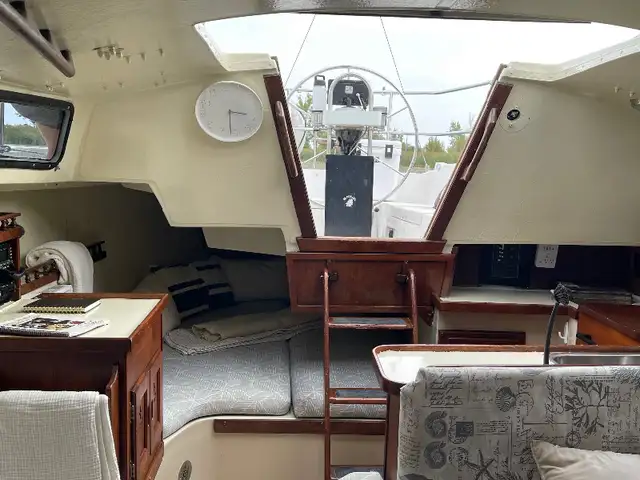 1979 Catalina 30 sailboat in Sailboats in Oshawa / Durham Region - Image 6