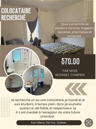 colocataire recherché