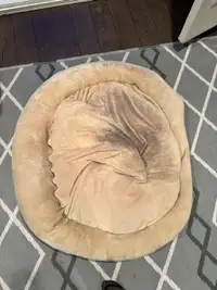 Large dog bed