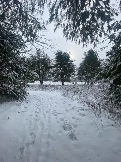 ISO 1 Bedroom Apartment, View more