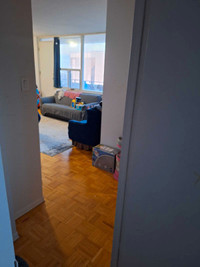1 Large bed room available in 2Bed spacious Apt