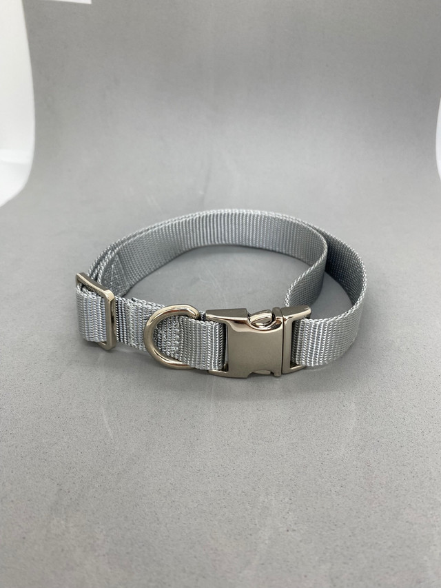 Dog collars in Accessories in Calgary