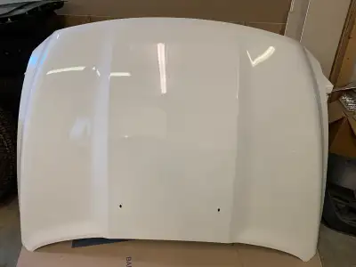 NEW HOOD ASKING $1800.00 ......... NEW LH FENDER ASKING $700.00 PROFFESIONALLY PAINTED ..... PAINT C...