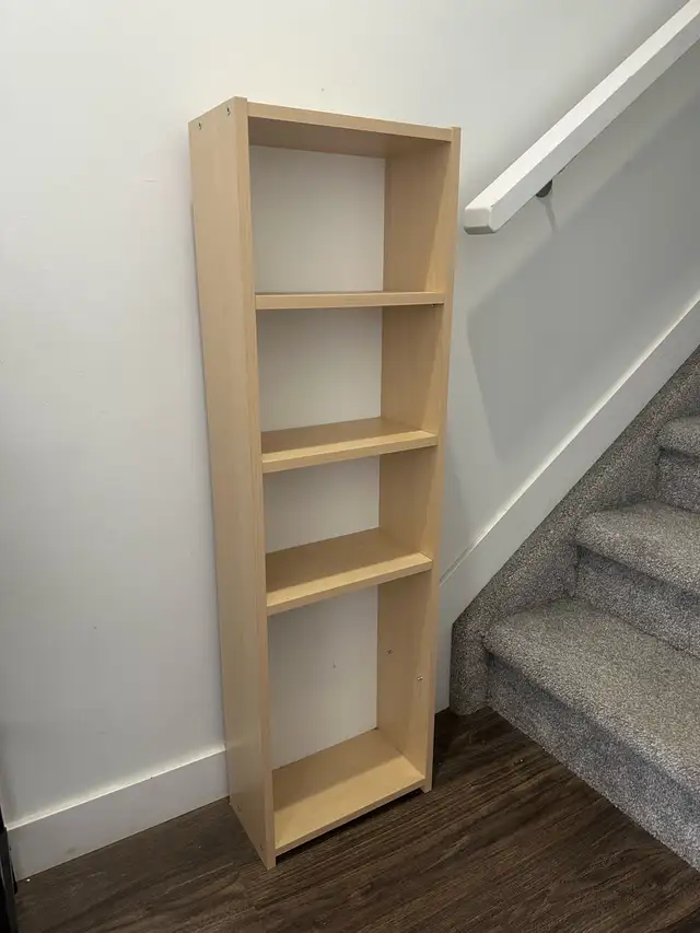 Book Shelf523497089564026881