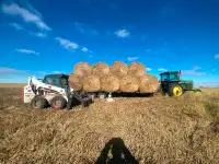 Hay For Sale