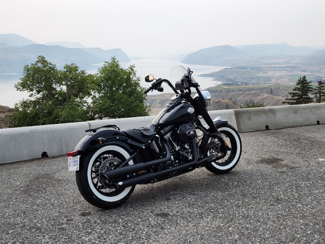 Harley Davidson Chopper Style Softail Slim  1040 Klm. in Street, Cruisers & Choppers in Kamloops - Image 3