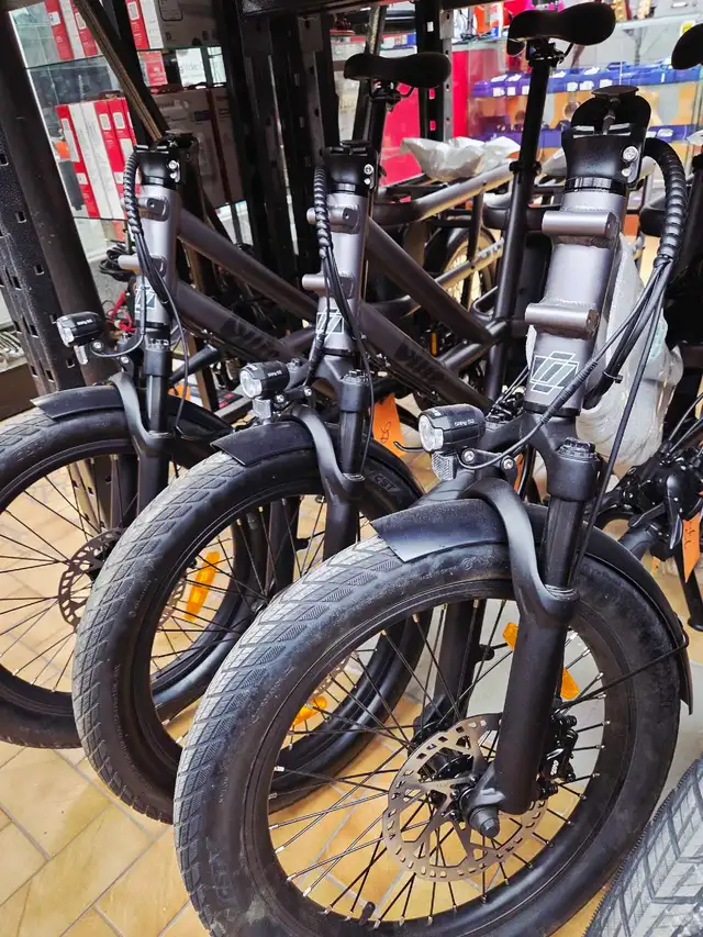 Vélo Électrique neuf cargo  in eBike in Longueuil / South Shore - Image 3