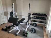 Home Gym / Benchpress and Squat Rack + Dumbells and Curl Bar