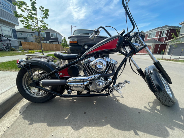 Indian Larry tribute bike - bad ass customs - article in descrip in Street, Cruisers & Choppers in Edmonton - Image 2