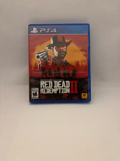 Red Dead Redemption 2 Case only