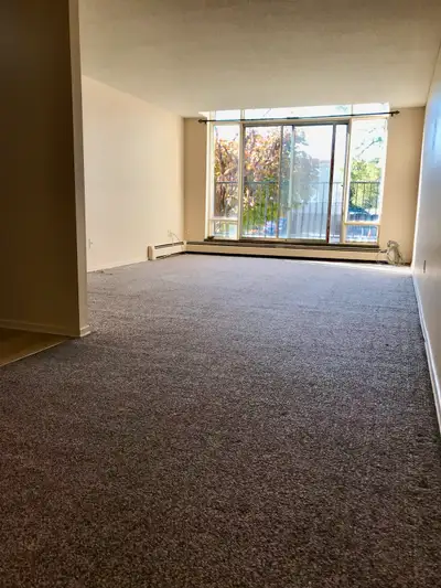 Lovely & Large, All Inclusive 1 Bedroom Apartment Available July 15th or August 1st. ALL INCLUSIVE!...