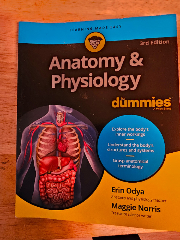 Anatomy and Physiology for dummies in Textbooks in Calgary