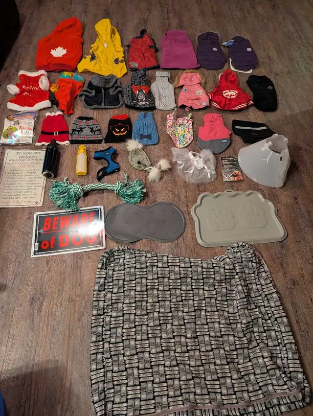 DOG Coats,l & Jackets, safety cone, lg rope toy, water bott in Other in Moncton - Image 3
