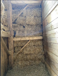 Straw Bales for Sale - small and large quantities available