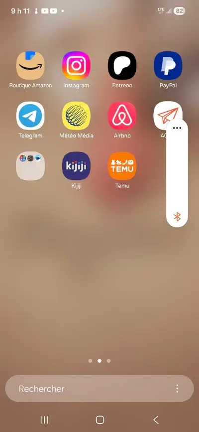 As tu ca poulette grise pondeuse 20 chacune pas plus et dindonneau pas plus de 20 chaque itou.....et...