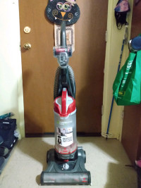 Bissell Powerlifter Swivel-w/ TurboEraser Pet Fur Remover