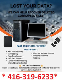Data Recovery, Password Recovery & Virus Removal ServicesAccid