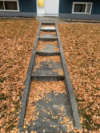 Professional Snow Removal & Fall Cleanups starting @ $120!, View more