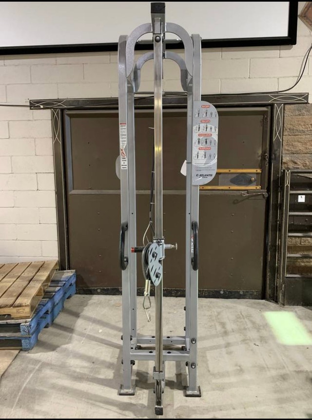 ATLANTIS Overhead Triceps T161 MODEL MS5 & Lat Pulldown Exercise