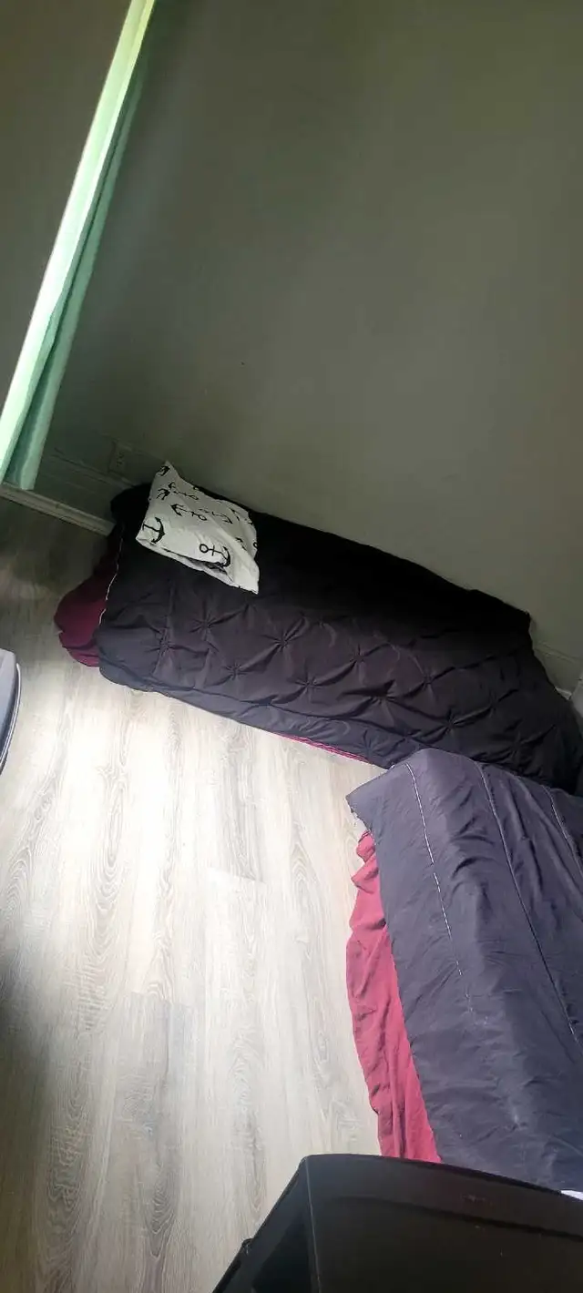 Two Beds495860601921873922