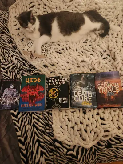 Books. $1 for each, View more