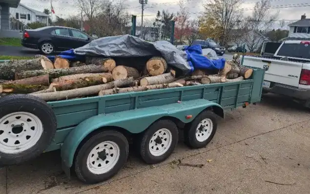 Junk Removal544786189879889924