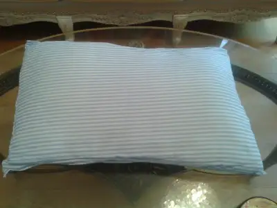 Queen Size Pillow, 100% Cotton, in Good Condition, Very Clean, View more