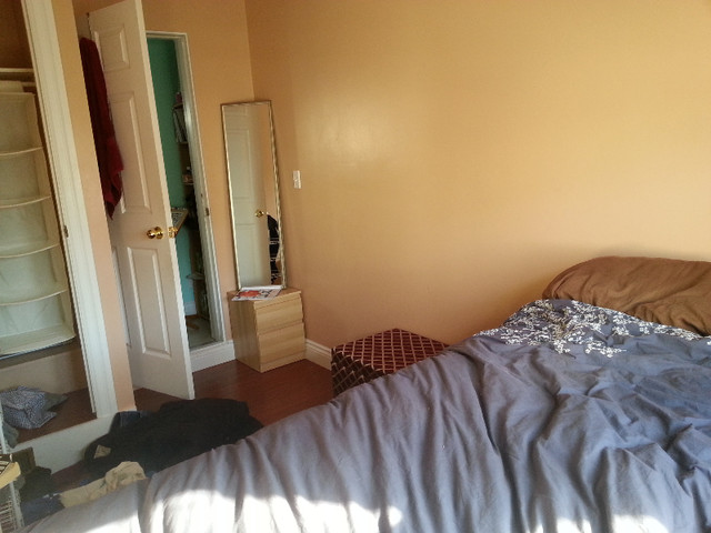Furnished Sublet in Lovely Bright 2nd Flr Kensington Market Room in Short Term Rentals in City of Toronto - Image 4