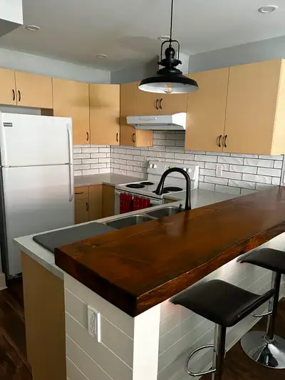 Furnished 1 bdm basement suite in beautiful Brailsford Place road in Sooke. No smoking, no parties,...