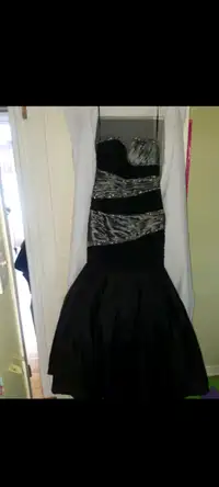 Formal Dress/Gown (great price $90, was $400!)
Worn only once !