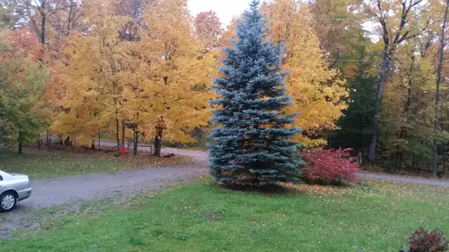 ROOM TO RENT AVAIL IMMEDIATELY in Long Term Rentals in Peterborough - Image 6