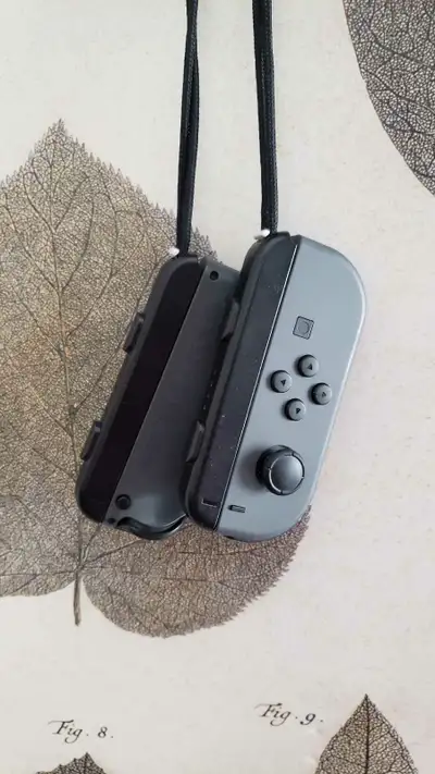 Switch Joycons - Grey, View more