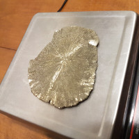 103 Gram Vintage Natural Pyrite Sun Miners Dollar from Illinois