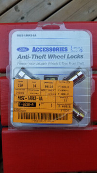 Chrome Anti-Theft Wheel Locks - Ford Products